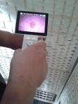 Neutral White Light Digital Video Otoscope Dermatoscope And Otoscope Camera With
