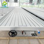 Agricultural Soilless Culture Hydroponic Greenhouse Rolling Bench Grow Table