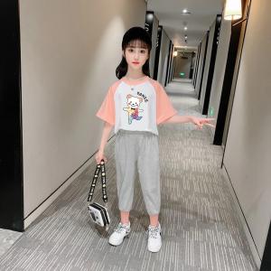 Quality ODM Spring Worsted Casual T Shirts Girls Tops 95% Cotton 5% Spandex wholesale