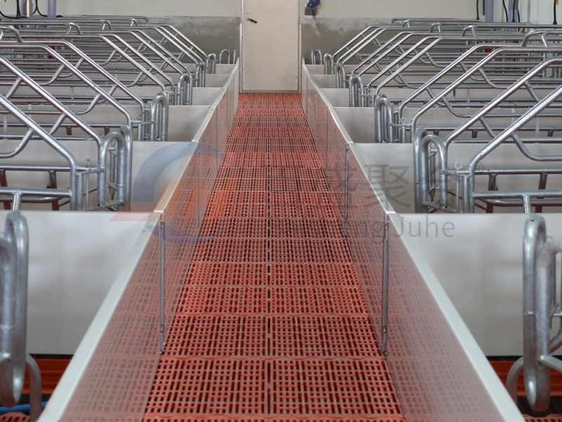 ISO9001 2008/CE/BV Certified Pig Farming Business Plan for Customized Cages and Pen