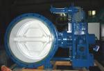Gear Operated Flanged Butterfly Valve 1000mm for Hydropower