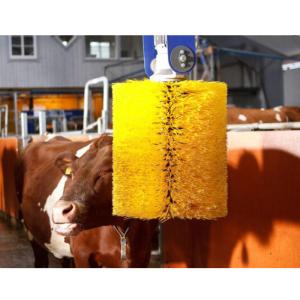Quality Electric PLC Cattle Scratching Brush Rub For Cow Body Massage wholesale