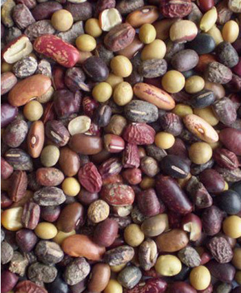 Triple Chutes Full Color RGB Camera Color Sorter beans Color Separate Machine