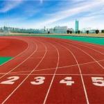 9mm Synthetic Running Track SBR Granules Sport Flooring For Stadium