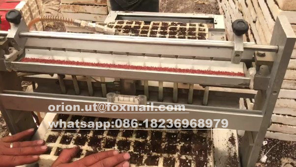 Tomato Seeding Machine 120 Tray Lettuce Seed Vegetable Seed Planter for Plastic Tray