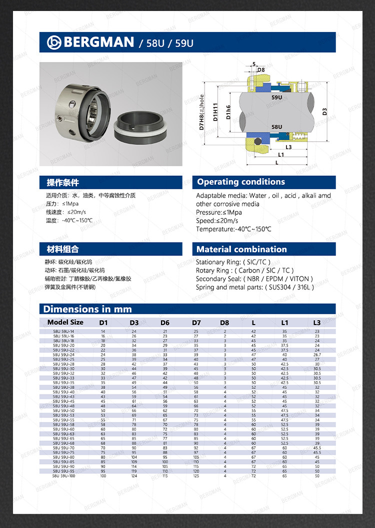 BERGMAN 58U 59U 24mm-80mm Lixin Dyeing Machine Pump Mechanical Seal
