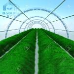 Polytunnel Zinc Steel Frame Greenhouse PE Membranes Covering