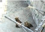 Zoo Animal Aviary Wire Netting Stainless Steel Wire Rope Mesh