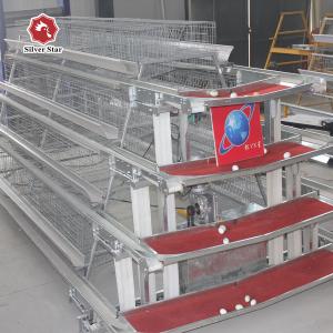 Quality Hot And Cold Galvanized Battery Cage System In Poultry wholesale