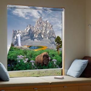 Quality Adjustable Custom Printed Roller Blinds Vertical Blinds Window Treatment wholesale