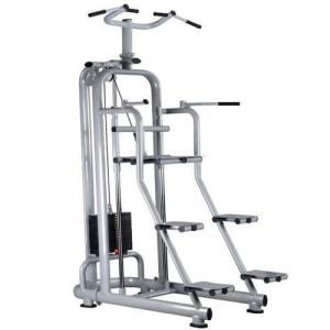 Quality Dip &amp; Hip Assist Machine wholesale