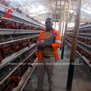 Quality Chicken Farm 3 Tier Battery Cage System In Poultry Sandy wholesale