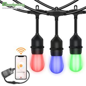 Quality RGBW 48ft Led Bulb String Lights Outdoor Coloured Bulb Lights wholesale