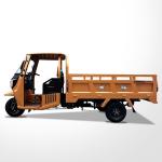 Speed 200cc Ghana Cargo Tricycle Gasoline Loading Rickshaw with Hydraulic Rear