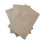 Construction Poplar 1250mm×2500mm Faced Birch Plywood