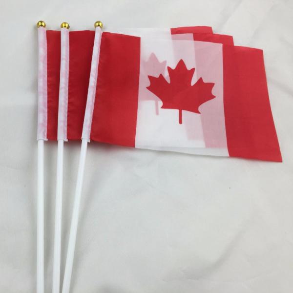 Mini Hand Waving Flag On Plastic Stick Sports Club School Festival National Flag