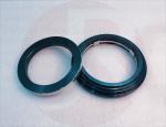 Mechanical Seal Gw Washing Machine Seal Counterface Gcs Gulliver Grandimpianti