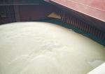 Wheat Gluten Pellet for Feed of Aquaculture 82.2% Min Of Protein Content