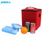 Non Caustic Fan Ice Pack Reusable 450G For Frozen Food