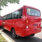 4 Wheel Drive Off Road Coach Bus Luxury 10-19 Seater Sightseeing Bus for All