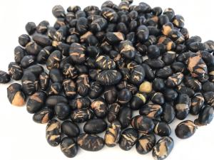 Quality Vitamins Contained Soya Bean Snacks , Crispy Black Raw Soy Nuts Health Certificated wholesale