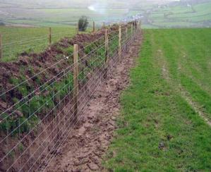Quality Galvanized Iron 2.5mm horse Mesh Fencing Grassland Fencing corrosion proof wholesale