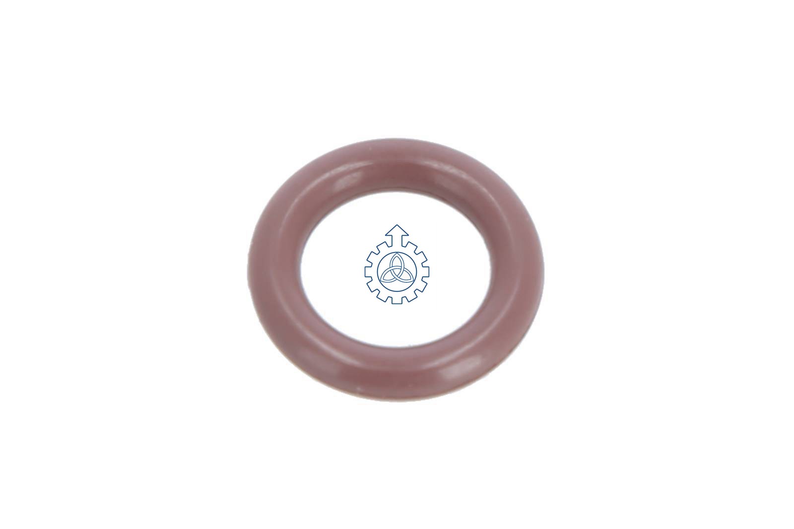 O-ring 17281381