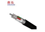 Layer Stranded Optical Outdoor Fiber Optic Cable Corrugated Steel Tape Armored