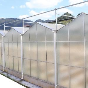 Quality Agriculture Film Clear Polycarbonate Greenhouse Transparent Square Steel Frame Coating wholesale