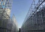 Hot - Dip Galvanized Buckle Scaffolding 48#60# Construction Site With Inner And