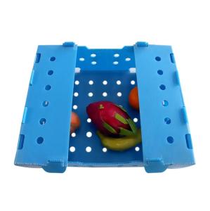 Quality PP Corrugated Plastic Box Corflute Fruit Packaging Box Customized Recyclable wholesale