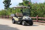 2 Seats Electric Golf cart With Aluminum Cargo Box 560KG Weight Capacity