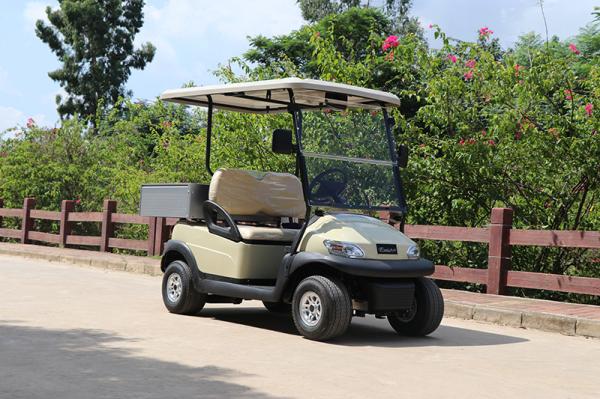 2 Seats Electric Golf cart With Aluminum Cargo Box 560KG Weight Capacity