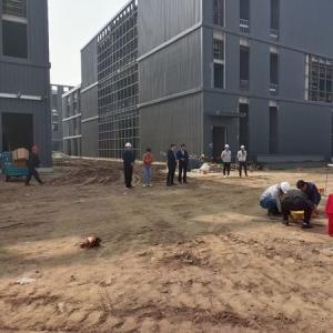 Quality Q355B Steel Frame Multi Story Steel Structure Office Building wholesale