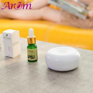 Quality Multifunctional Portable Mini Scent Nebulizer wholesale