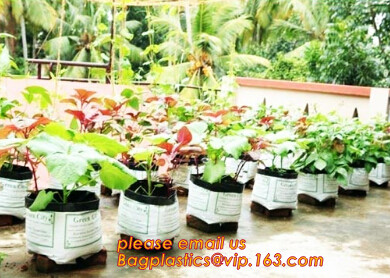 Wholesale Poly Black Square Garden Plastic Baby Flower Plant Nursery Poly Bags for Hydroponics,1gal 2gal 3gal 5gal 7gal