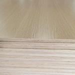 Basswood Poplar Birch Plywood 3mm 9mm 12mm Wood Veneer Plywood