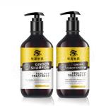 Ginger Beauty Hair Shampoo For Hair Growth Nourishing