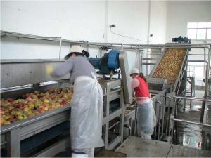 Quality Stainless Steel SUS 304 Wire Mesh Belt Conveyor / Fruit Washing Conveyor Rust Resistant wholesale