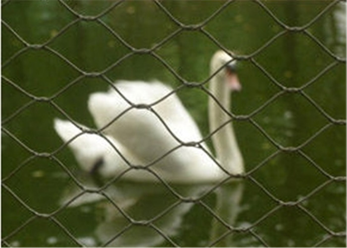 Plain Weave Stainless Steel Aviary Mesh , Stainless Steel Bird Cage Screen Mesh