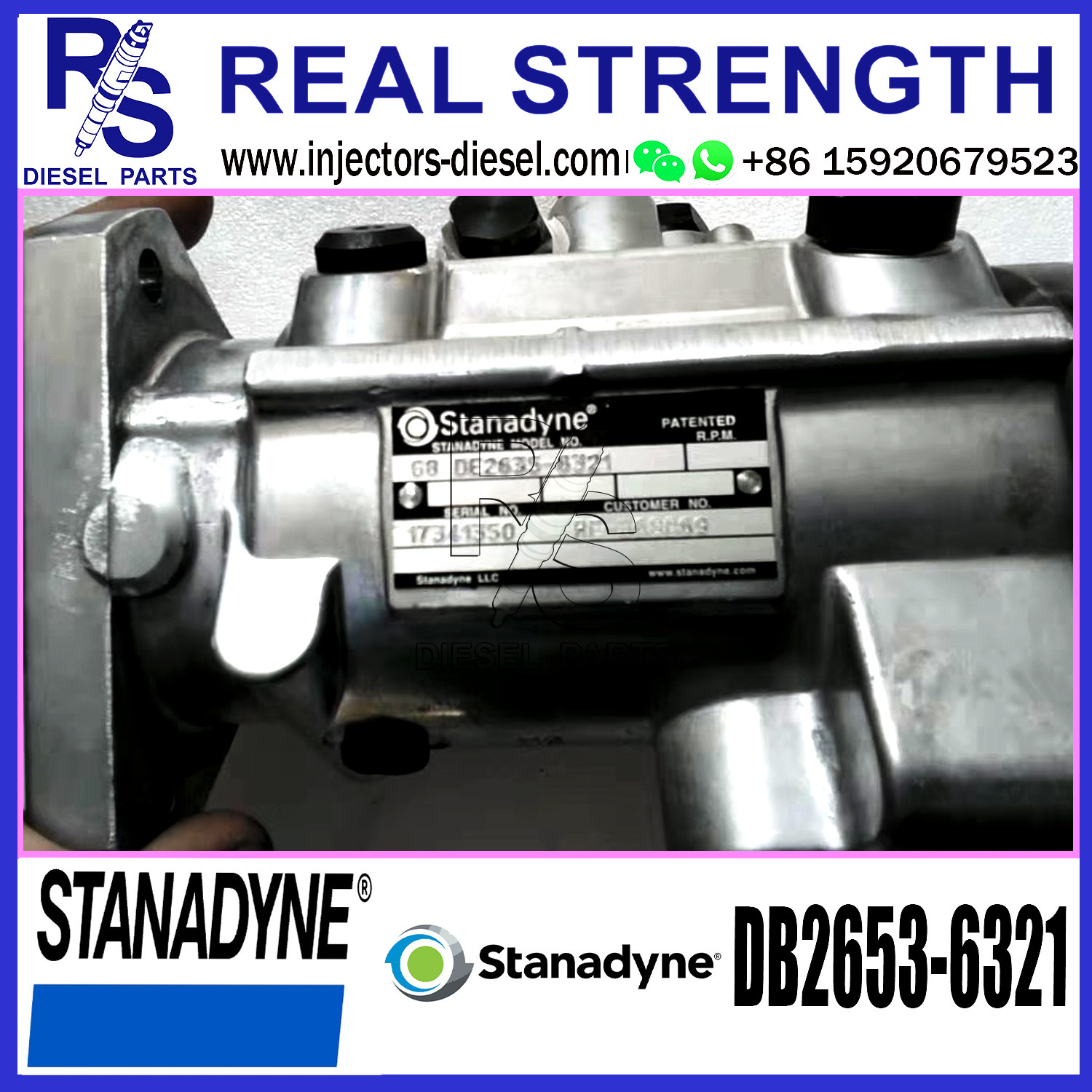 Stanadyne Diesel Fuel Pump DB2635-6221 DB2435-6481 DB2653-6320 DB2653-6321 for Diesel Engine