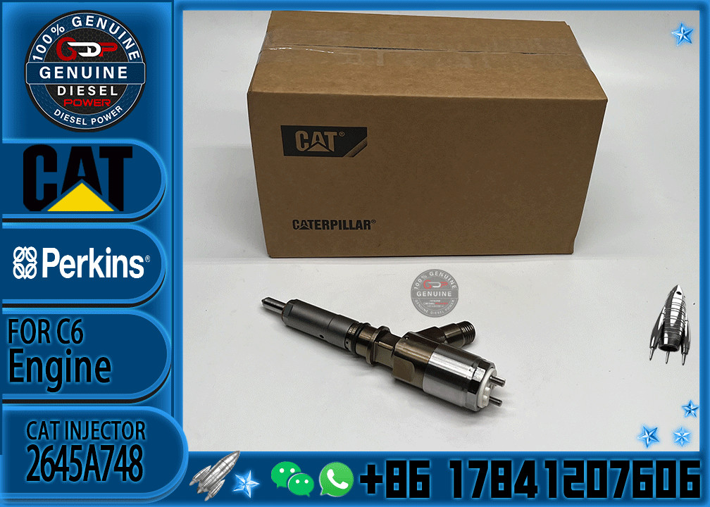 Common rail injector fuel injecto 10R-7675 2645A748 2645A743 320-0670 for C4.2 C6.4 Excavator C4.2 C6.4 320D