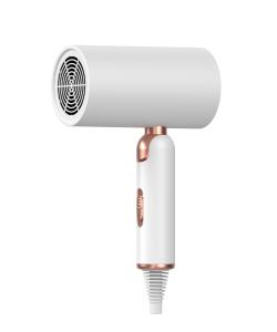 Quality Foldable Design Ionic Hair Dryer Magnetic Nozzle For Home Traveling wholesale