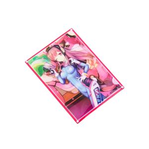 Quality 66x91 Trading Sport Card Sleeves Printed Color Gift PP TCG Hard Card Protectors wholesale