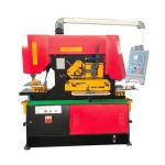 Hydraulic Punching And Shearing Machine / 250Ton 220V Heavy shearing bending