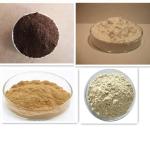 Food Additive Spray Drying Equipment Soy Sauce Flavouring Powder Drying