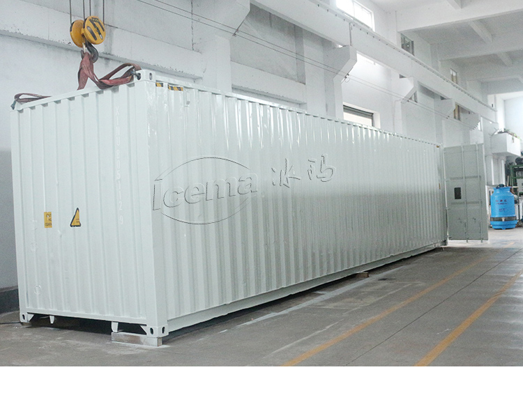 Emerson 3 Ton Directly Cooling ICEMA Containerized Block Ice Plant