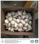 China fresh garlic export to Brazil by Pioneer garlic group. 6.0 cm normal white