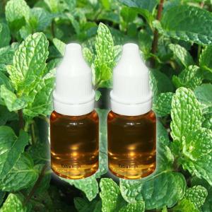 Quality E juice 10ml fruit flavours wholesale