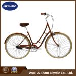 24 Inch 3 Speed Commuter Women Steel City Bikes Coaster Brake